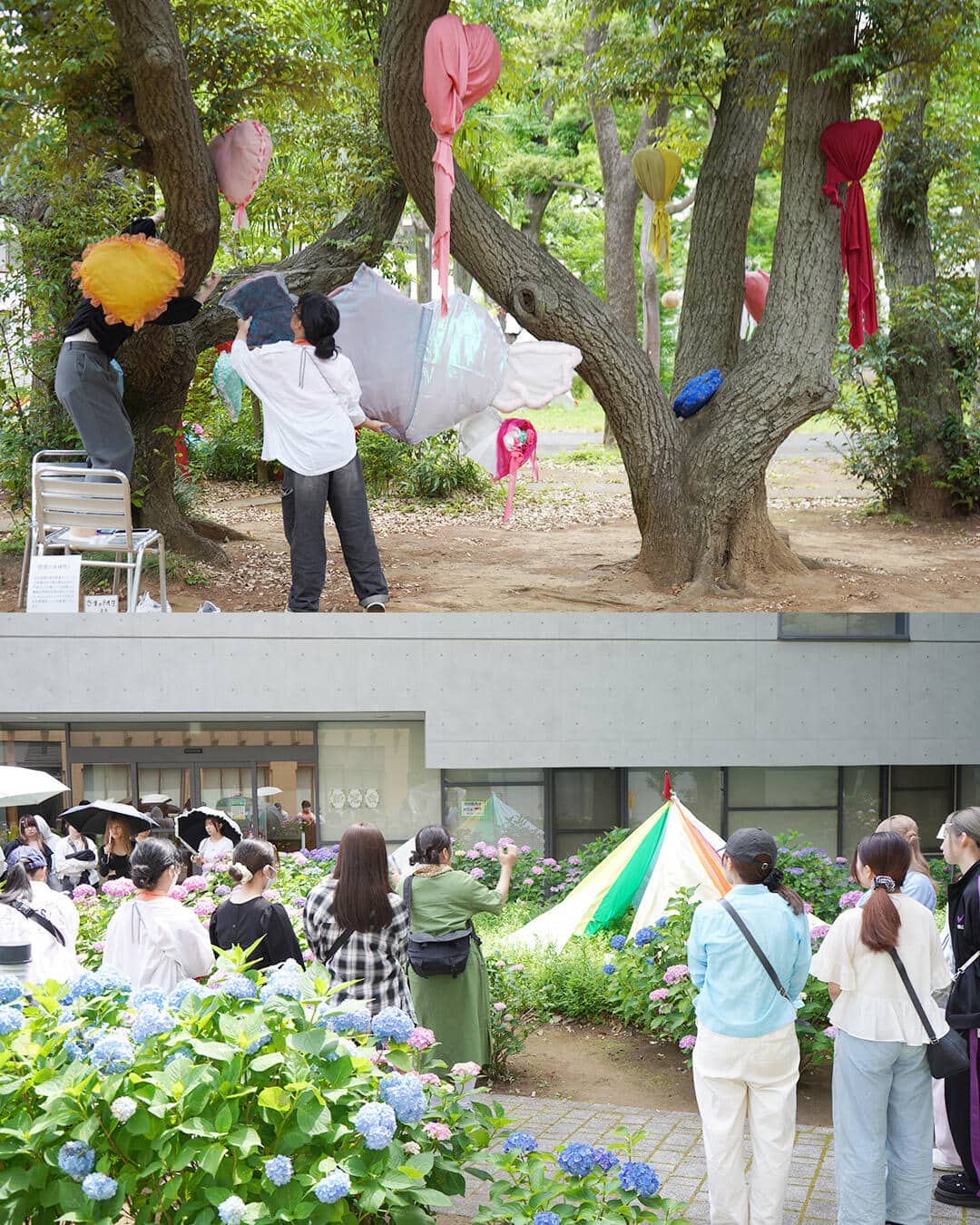 insta_zokei03.jpg