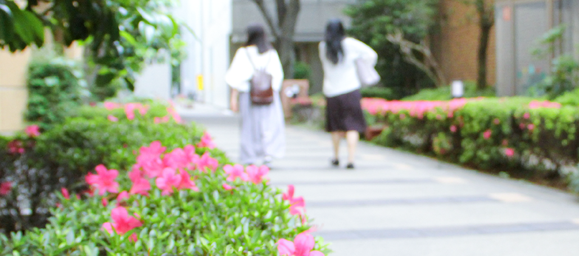 学部 大学院 短期大学部 東京家政大学