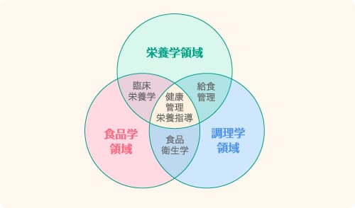 学科の概要 東京家政大学