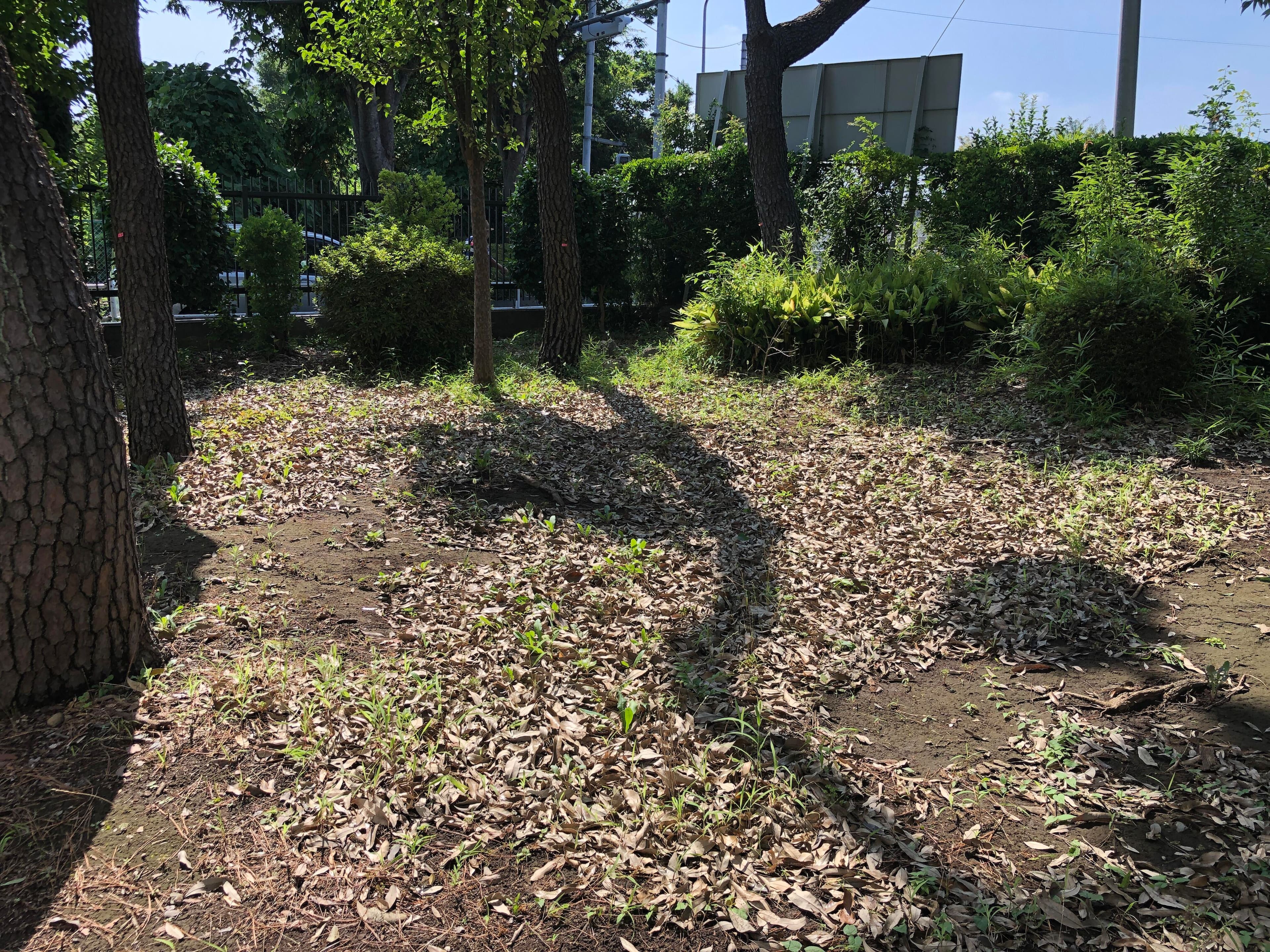 写真 2026-07-25 9 14 43.jpg