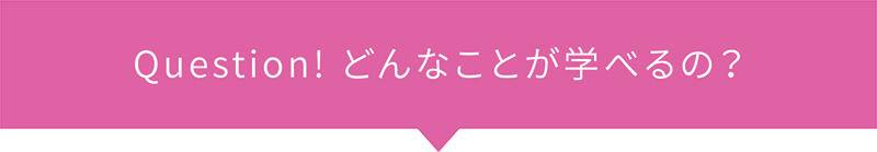 Question! どんなことが学べるの？