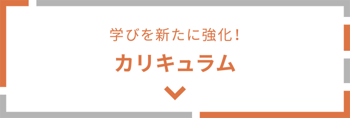 学びを新たに強化！ カリキュラム