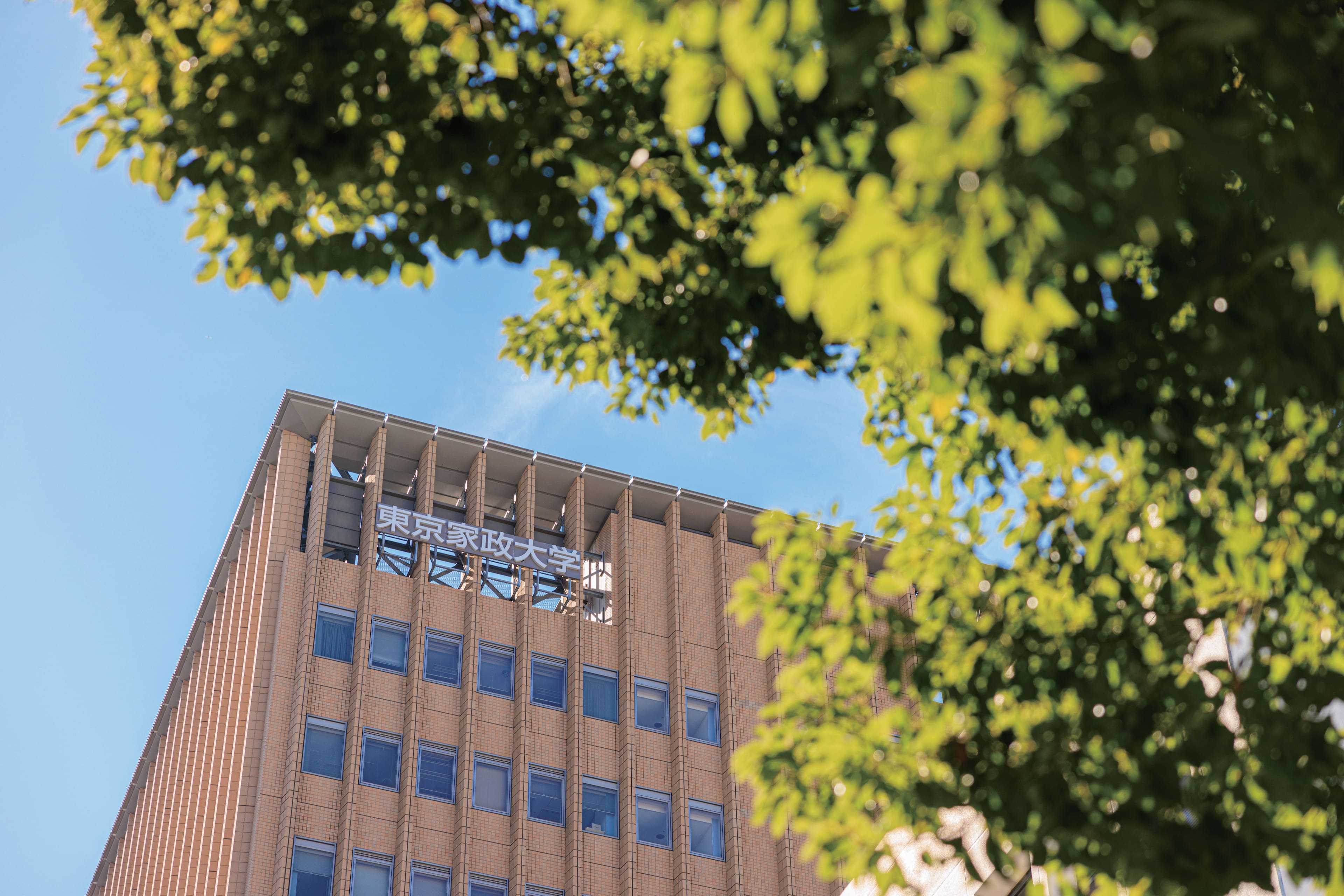 東京 家政 大学 マイ ページ