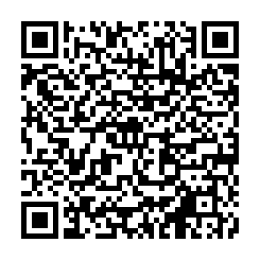 俳句の実作と鑑賞の申込QRコード